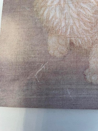 CAT by LI TI, Print - Picture 4 of 4
