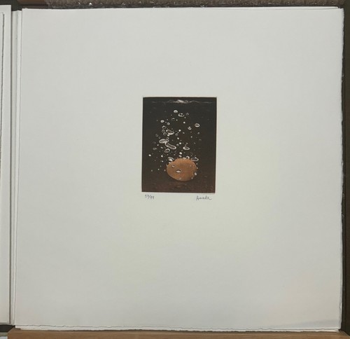 Original HIROSHI ASADA Geschichte von Leau HISTORY of WATER 10 Japan ÄTZUNGEN Folio - Bild 10 von 16