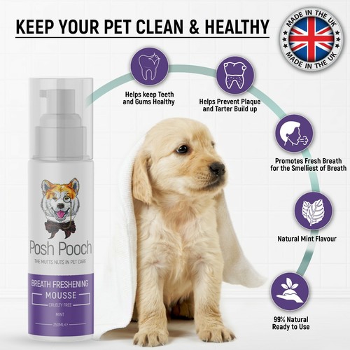 Breath Freshener For Dogs Dental Mousse - 250ml Mint Foam Eliminates Bad Breathe - Picture 2 of 9