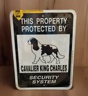New ListingCavalier King Charles Spaniel Dog Sign 9x12 Metal Aluminum “Property Protected”