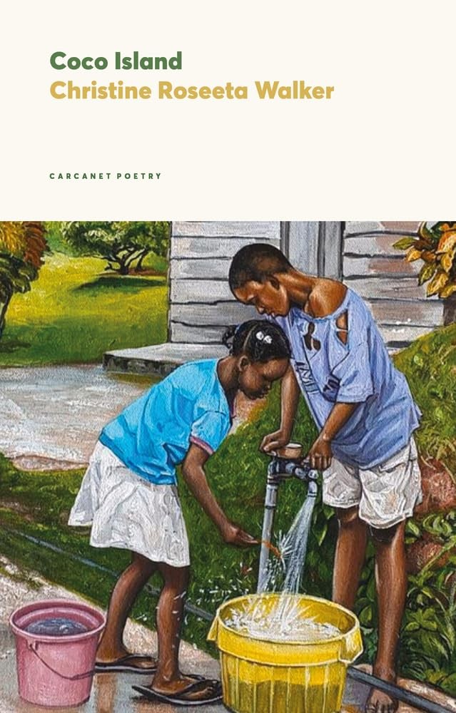 Coco Island by Christine Roseeta Walker (Paperback Book) - Image 5