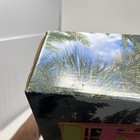 Bild 5 von 12