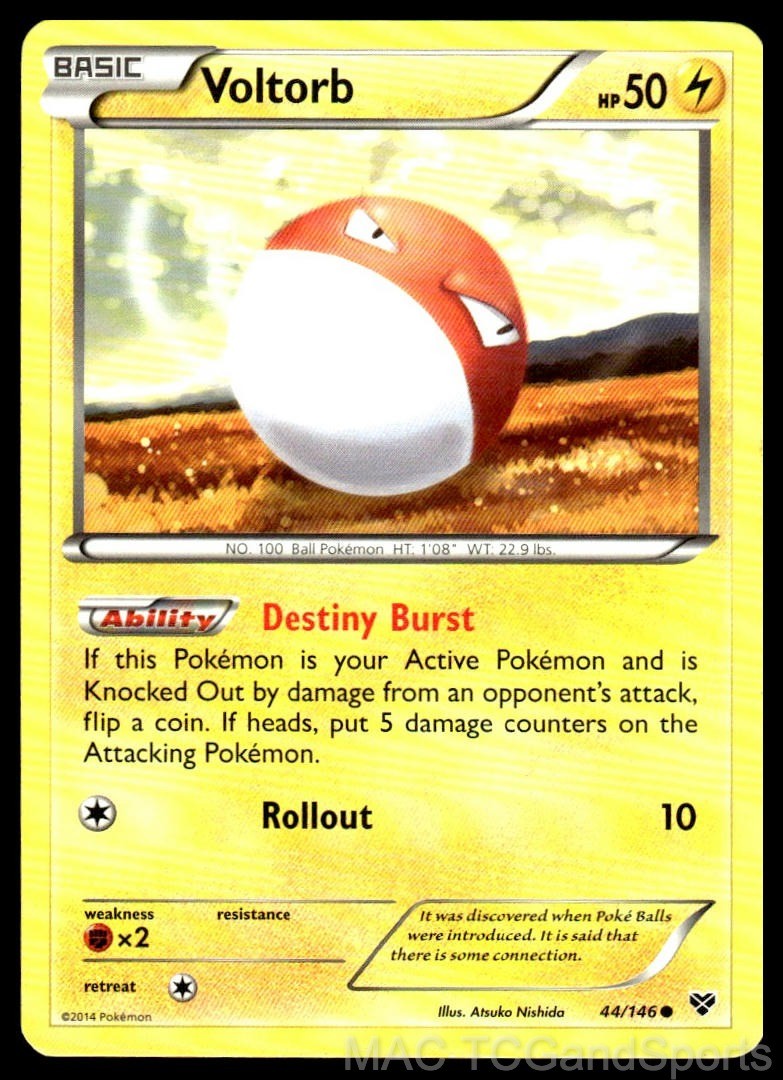Voltorb 44/146 XY Base Set Pokemon TCG LP
