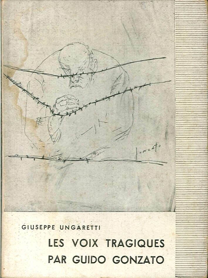 Foto 1 di 1