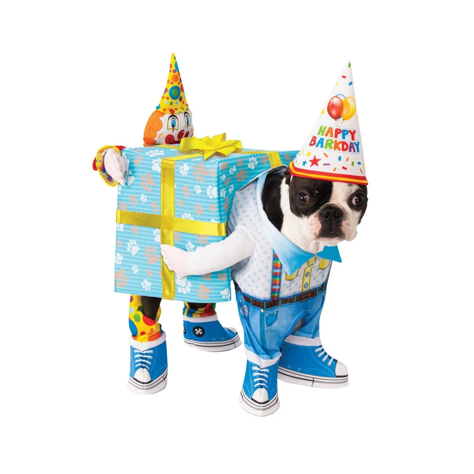 Bristol Novelty - Hundekostüm, Geschenke, Geburtstag (BN4814)