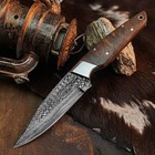 8.8" inch Handmade Damascus Hunting Knife Full Tang Wood Handle Leather Sheath — photo 2