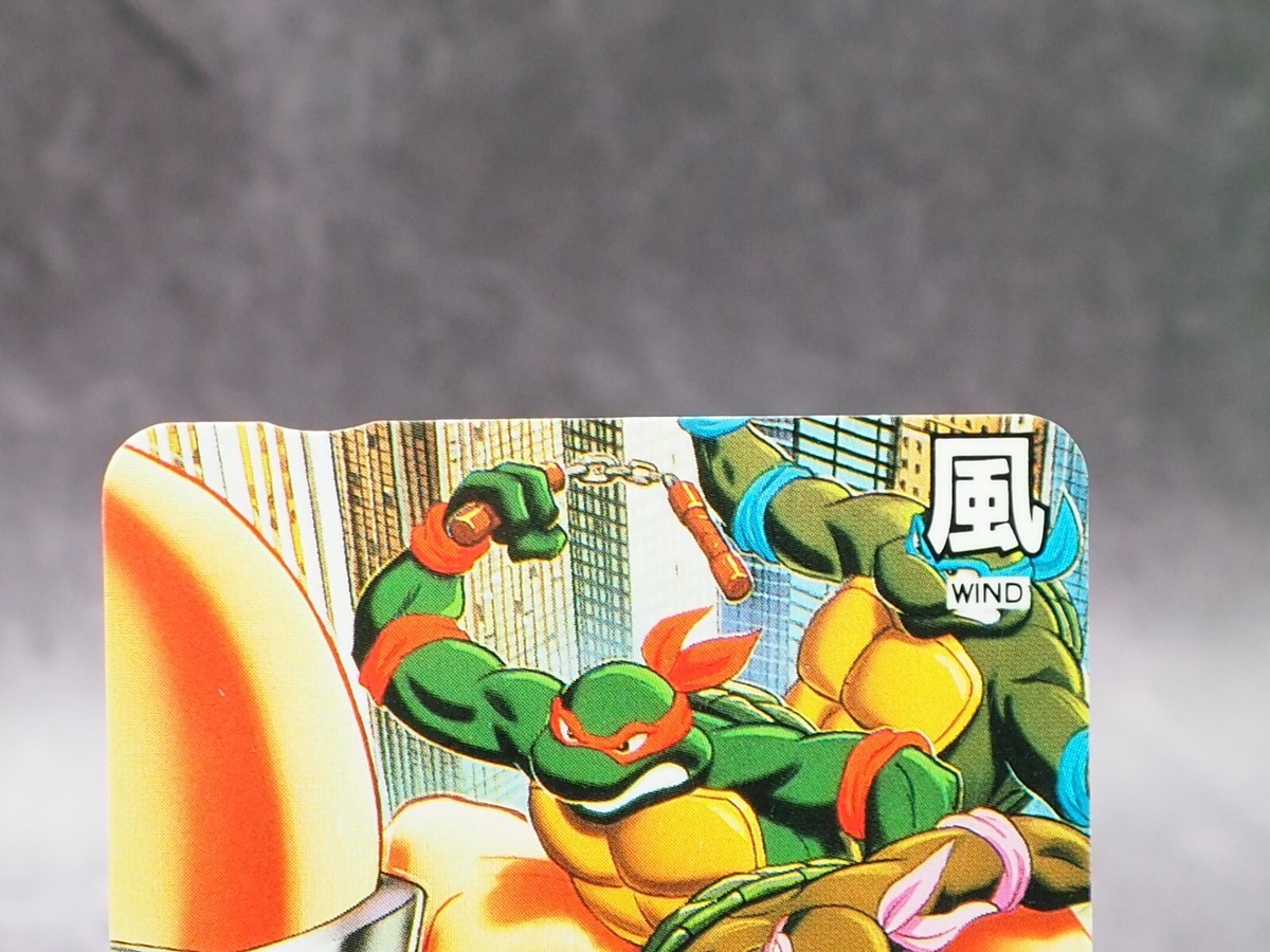 Leonardo Teenage Mutant Ninja Turtles Trading Card No.3 Anime