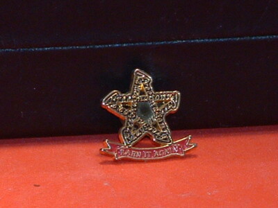 Pre-Owned Free Mason  Earn It Again  Pin