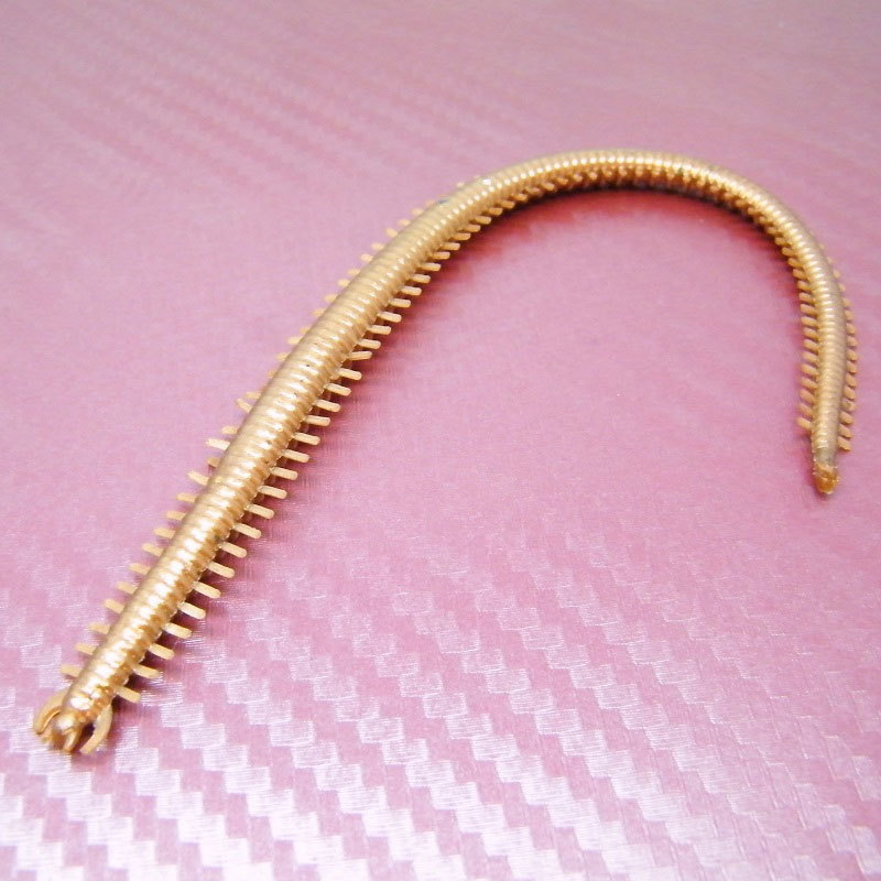 Lucky John Esche Siliconiche Lugworm - Foto 2