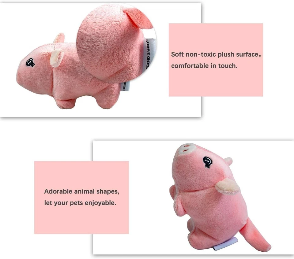 Zahnpflege Plüsch Hundespielzeug Set für Welpen - 12 verschiedene Designs - Bild 4 von 4