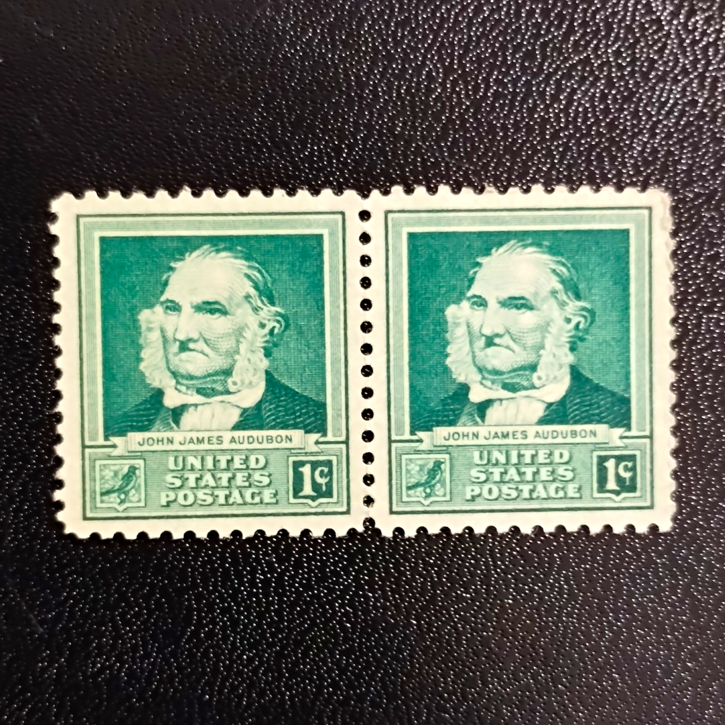 United States John James Audubon 1¢ Green Pair (2 Joined) Ungraded Uncertified