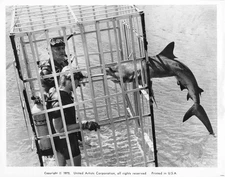 Sharks' Treasure 1975 Movie Photo Cornel Wilde SCUBA Shark Cage Diving    *P181c