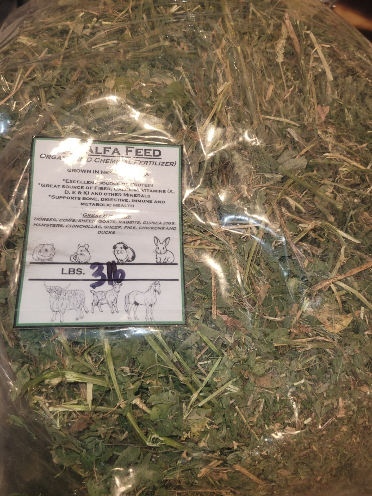 Premium Alfalfa Hay/Feed for Rabbits, Goats, Hamsters, Guinea Pigs ...