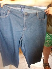 Women's Plus Size Jean Capri