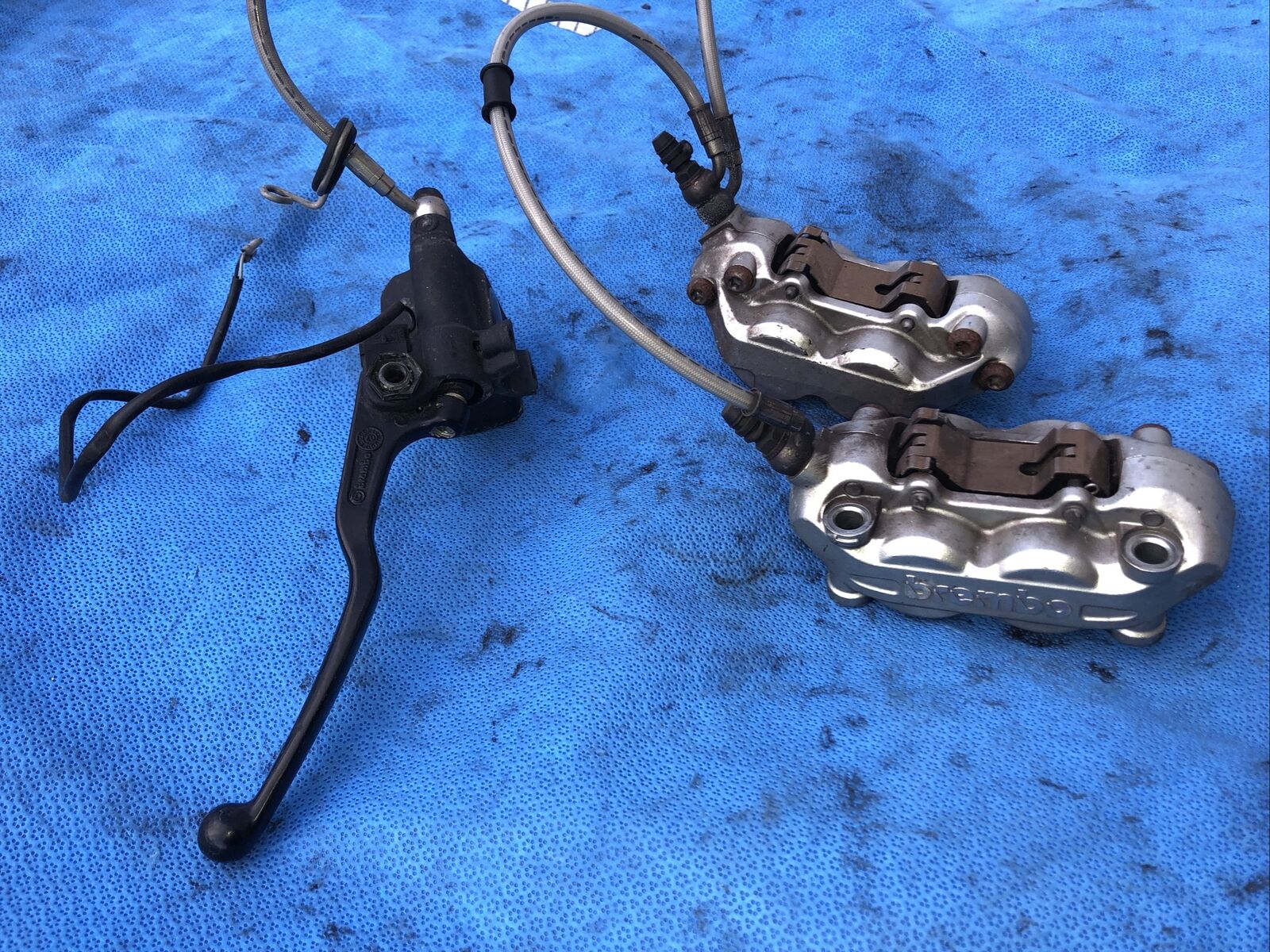 Foto 1 di 12