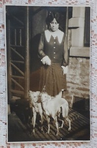 TWO WHIPPETS WITH WOMAN REAL PHOTOGRAPHIC WHIPPET DOG POSTCARD