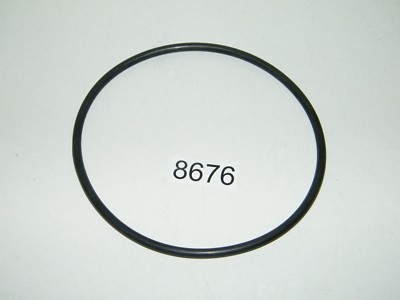 Pentair Pentek O Ring Für Big Blue Filtergehäuse 10'' Oder 20'' 151122