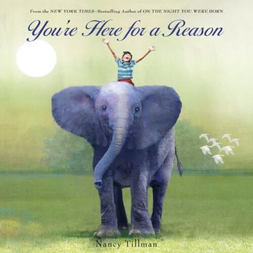 Discover the Inspirational You're Here for a Reason Board Book by Nancy Tillman