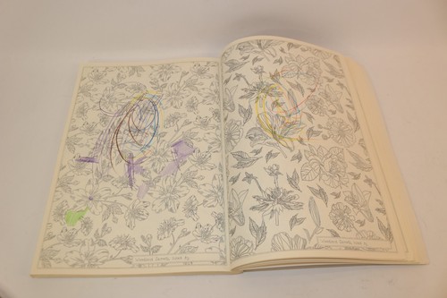 Woodland Secrets Coloring Book Adventures In ink & Imagination Detailed Lines - Picture 8 of 17