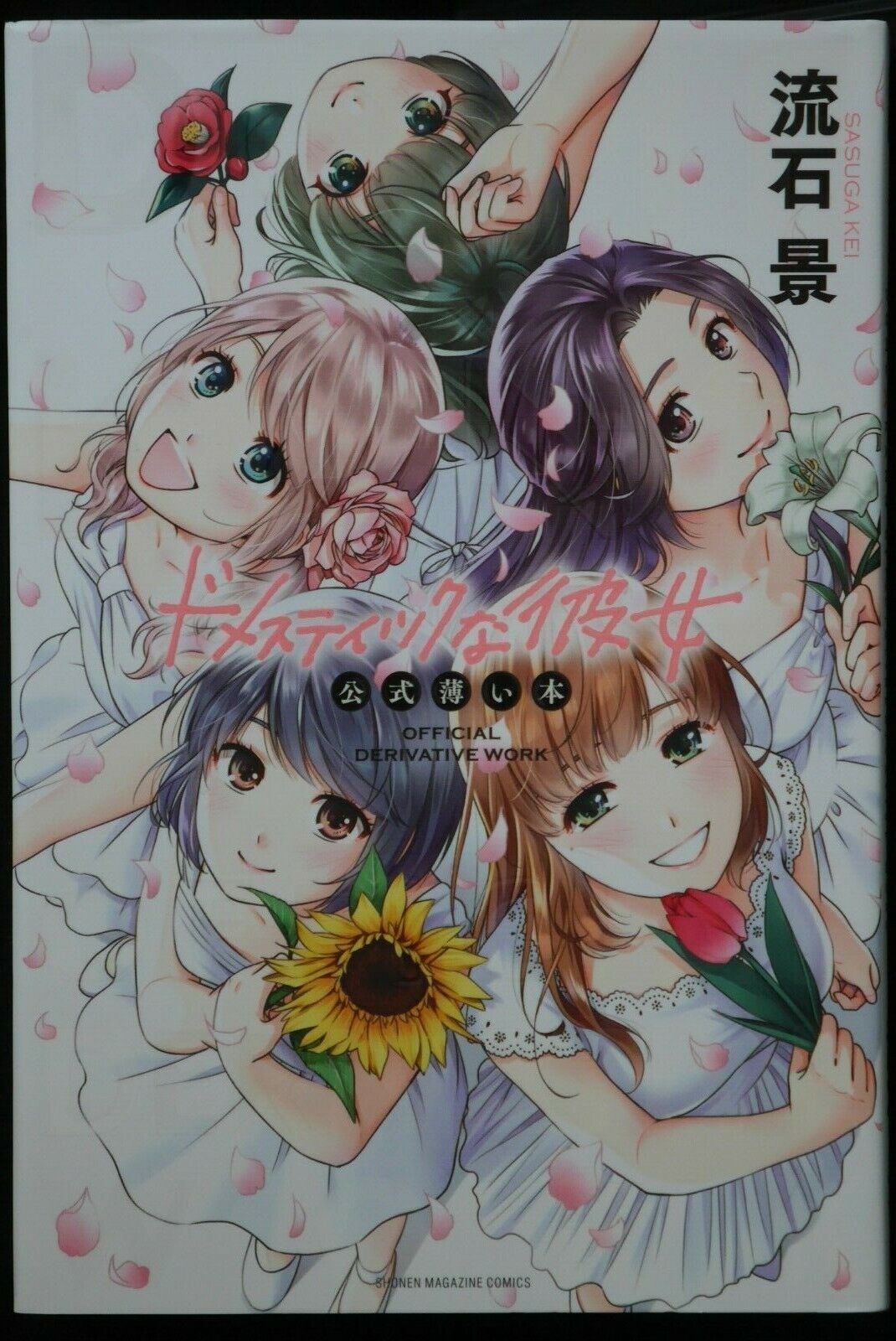 Domestic Girlfriend Official Derivative Work (Limited Edition) - Tokyo  Otaku Mode (TOM)