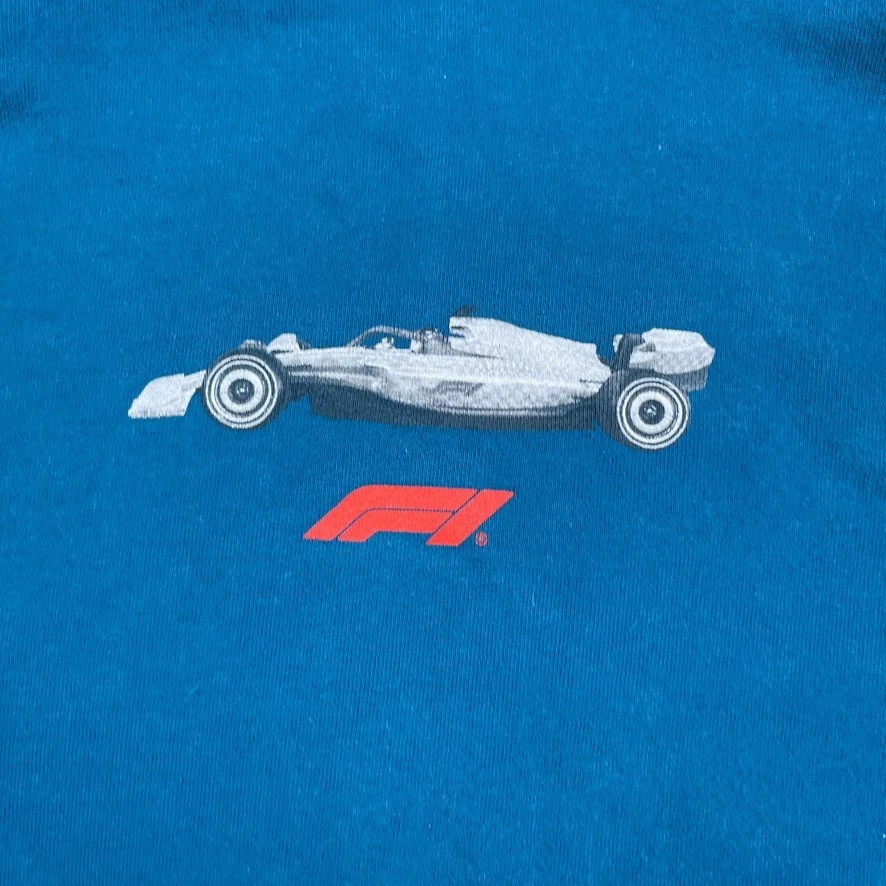 Pacsun Formula 1 Hoodie Mens Large Blue F1 Grand Prix Racing Motorsports - Image 3 of 4