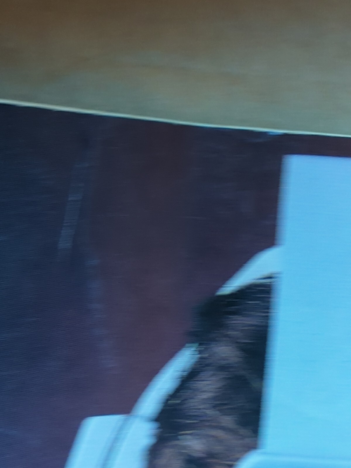Picture 20 of 24