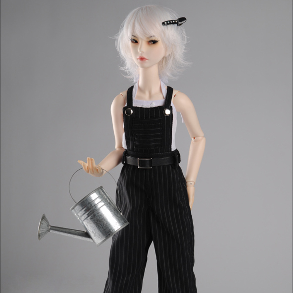 zaoll bjd
