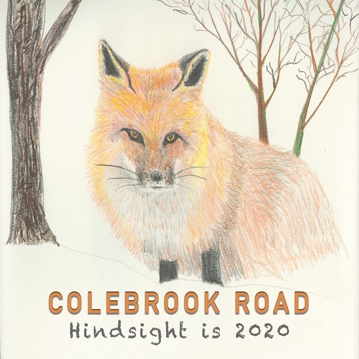 Colebrook Road Hindsight Is 2020 (CD)