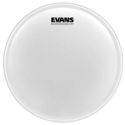 Evans BD22UV1 22'' Uv1 Btr Ctd