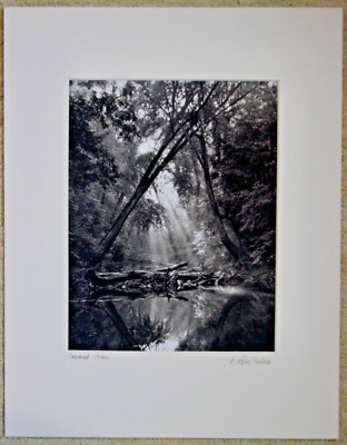 B&W Photograph- matted signed De De Faller- sunbeams trees misty creek