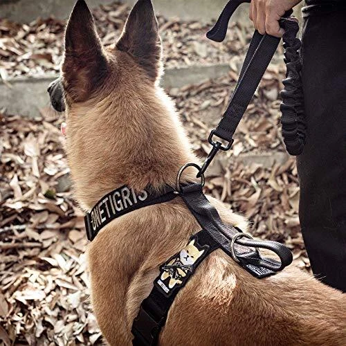 Dog Harness, No Pull Dog Harness, Lightweight Dog Harness Perfect for XL Black