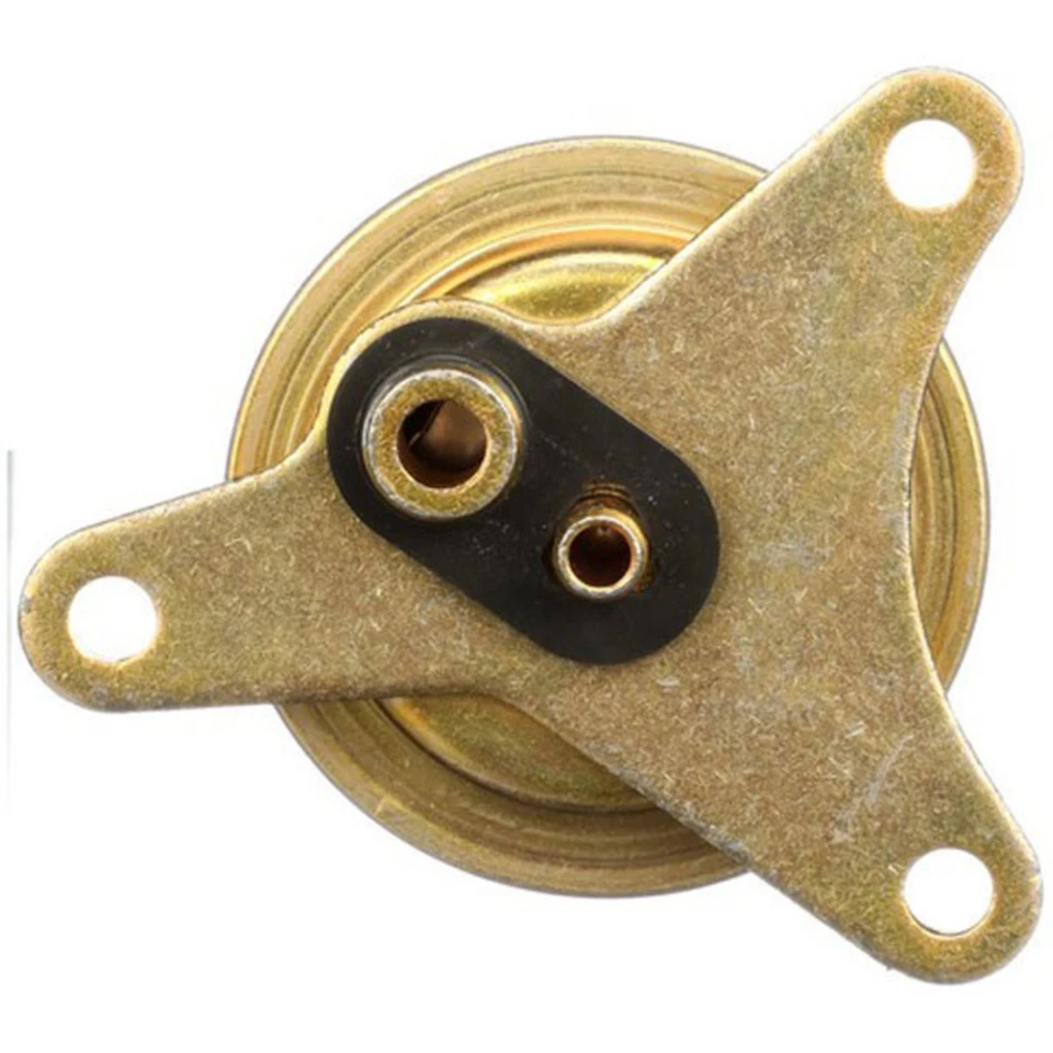 Reguladores de presión de combustible Delphi FP10391 gasolina para Le Baron Dodge Dakota Caravan Foto 3 de 4