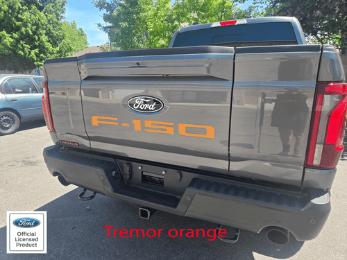 2021-2025 Ford F-150 tailgate letters F150 vinyl inserts decals stickers - Picture 8 of 10