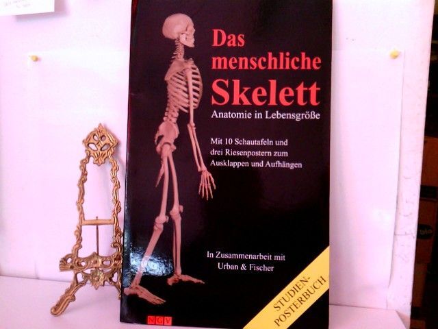 Das menschliche Skelett: Mit 10 Schautafeln und drei Riesenpostern zum Ausklappe
