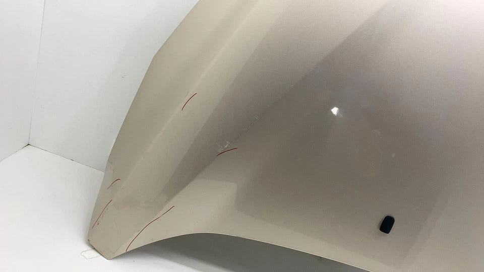 2013-2018 Ford C-Max Front Bonnet Hood Shell Panel Cover Assembly OEM Gold - GN Foto 2 de 4