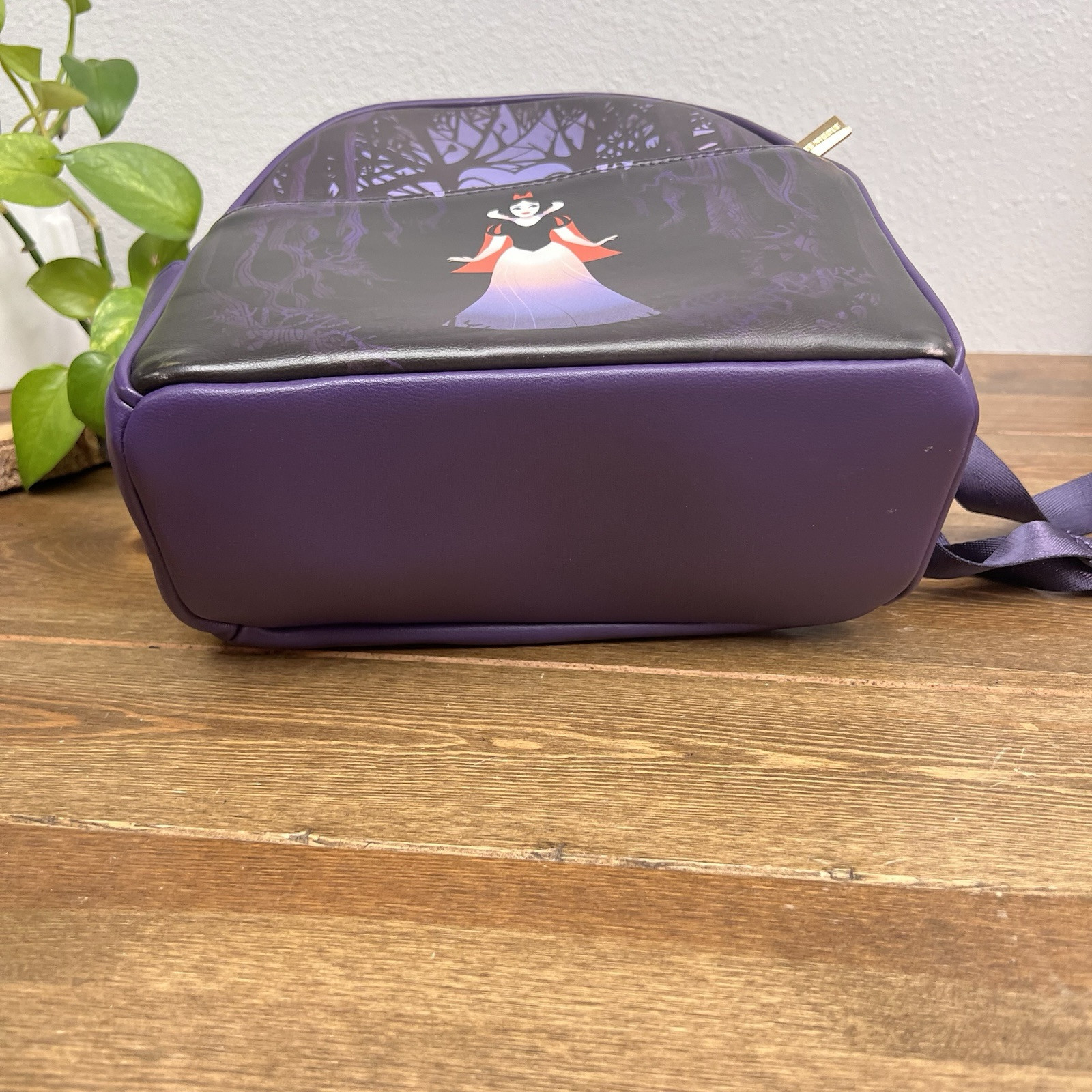 Disney VILLAINS DANIELLE NICOLE Snow White Evil Q… - image 4