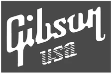 6.5"x10" Clear Plastic Stencil - Gibson (SA9)*****