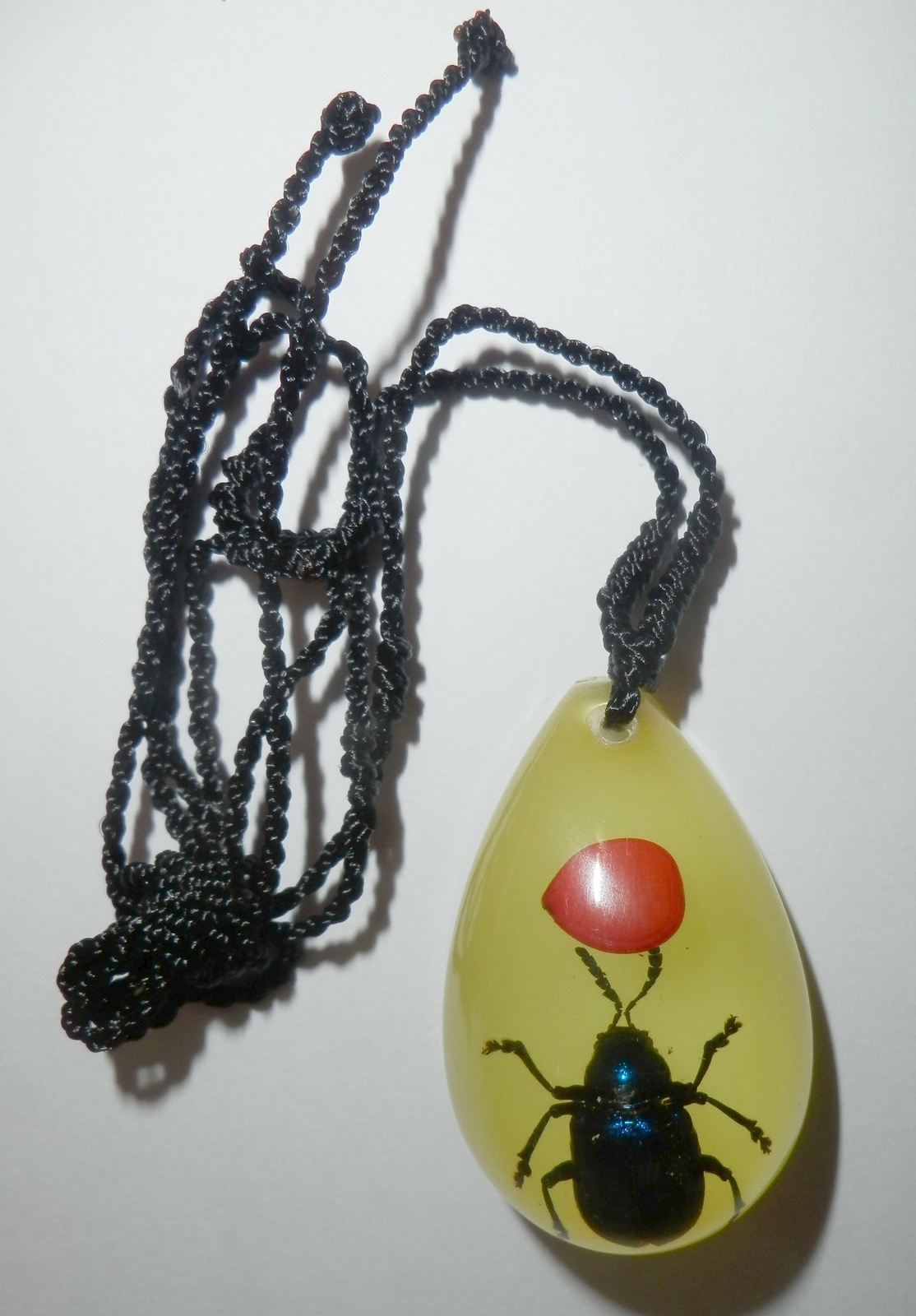 Picture 2 of 6