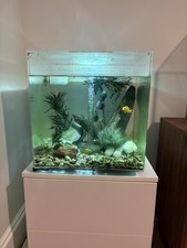 Biorb Cube 60L LED Fish Tank (Clear) with MCR Light + Accessories & Extras