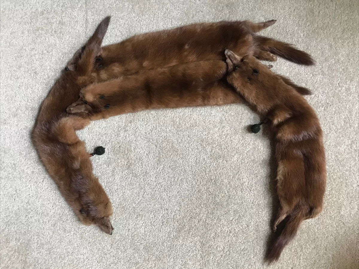 Vintage 1950 s Mink Stole Wrap 4 Full Pelts Rhomberg s Famous For