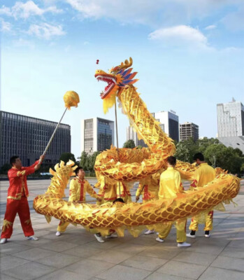 30' Dragon & Pearl Dance Set for 6 people | eBay