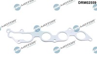 Dr.Motor Automotive Dichtung, AbgaskrüMmer U.A. FüR Ford, Ford Usa, Mazda
