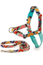PetSafe Designer Easy Walk Chic Harness and Matching Leash Medium/Large, DONUTS