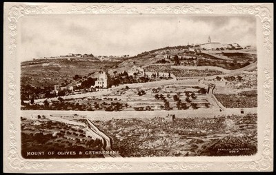 Postcard Mount of Olives & Gethsemane, Jerusalem, Control of Ottoman Empire RPPC