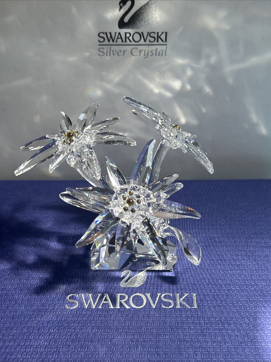 Swarovski 2020 Edelweiss Flower 5493708 New in original