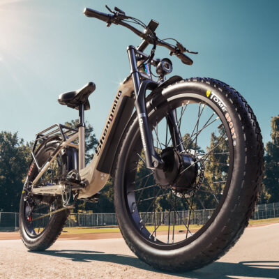 Electric Bike Dual Motor Shengmilo S700 48V Ebike Oil