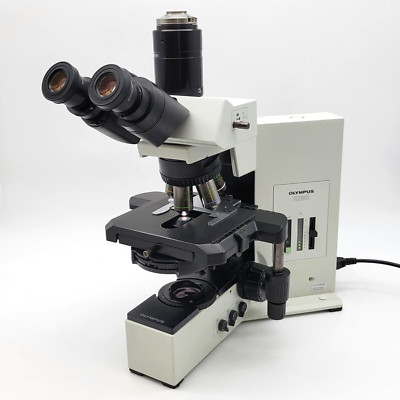 Olympus Microscope BX50 with Phase Contrast & Fluorite Objectives