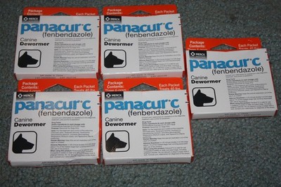 Merck Panacur C fenbendazole canine dog dewormer worm parasite treatment puppy