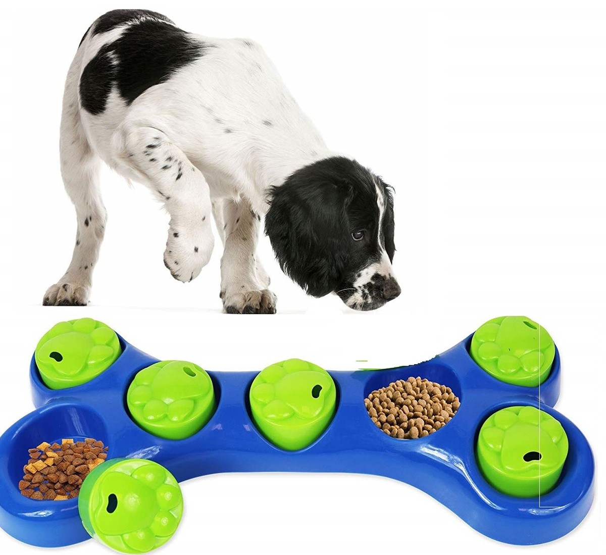 What to Do If Dog Eats Stuffing from Toy: Urgent Steps to Take