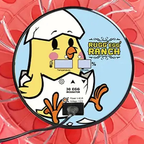 Rugg'EGG' Ranch 30 Egg Auto Turning Incubator w/Temperature & Humidity Display 